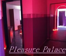 Affinghausen-hobbyhuren-Pleasure_Palace-hobbyhuren-1368206859